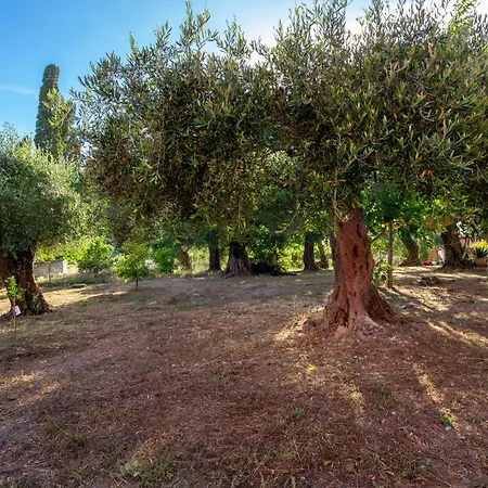 Apartment Elaionis Corfu *